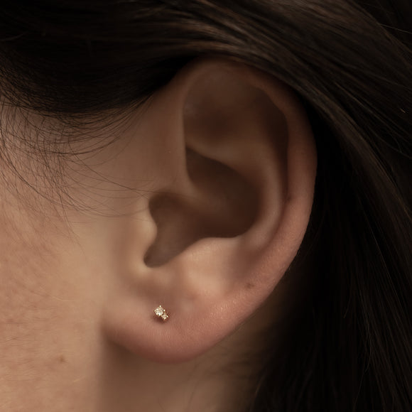 Piercing Iris