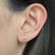 Boucle d'oreille Chaîne Lorène