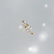 PUCE_POIRE_IRIS--