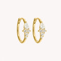Créoles Composition Iris